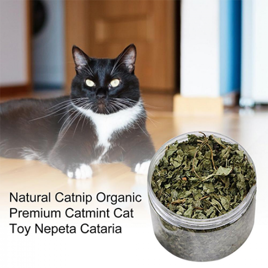 علبة كاتنيب نعناع بري طبيعي ( Catnip ) كمية اكبر علبة كاتنيب نعناع بري طبيعي ( Catnip ) كمية اكبر