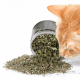 علبة كاتنيب نعناع بري طبيعي ( Catnip ) كمية اكبر علبة كاتنيب نعناع بري طبيعي ( Catnip ) كمية اكبر