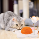 خداشة زهرة النرجس للقطط Cat tree Daffodil خداشة زهرة النرجس للقطط Cat tree Daffodil