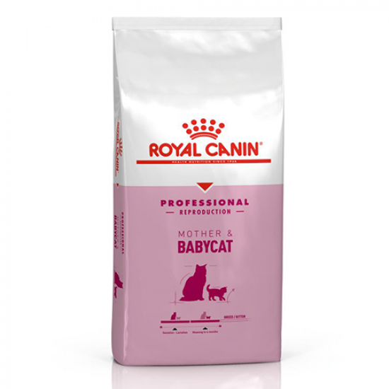 دراي فود رويال كانين للأم و صغارها royal canin mother & baby cat dry food دراي فود رويال كانين للأم و صغارها royal canin mother & baby cat dry food