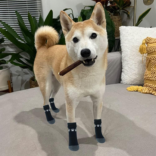 شراريب للقطط و الكلاب Pet socks مقاس L شراريب للقطط و الكلاب Pet socks مقاس L