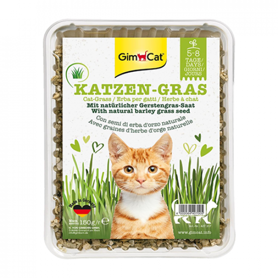 Gimcat Grass - Natural with Barley for Cats عشب طبيعي بالشعير للقطط Gimcat Grass - Natural with Barley for Cats عشب طبيعي بالشعير للقطط