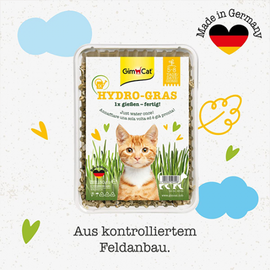 GimCat Hydro Grass عشب القطط الطازج ينمو خلال 5 إلى 8 أيام GimCat Hydro Grass عشب القطط الطازج ينمو خلال 5 إلى 8 أيام