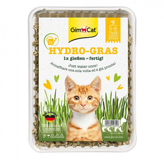 GimCat Hydro Grass عشب القطط الطازج ينمو خلال 5 إلى 8 أيام GimCat Hydro Grass عشب القطط الطازج ينمو خلال 5 إلى 8 أيام
