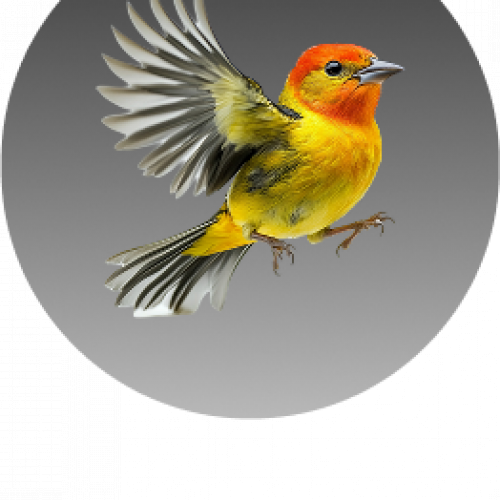 مستلزمات الطيور