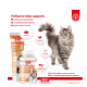 مكمل غذائي للقطط Bio Petactive Felilysine For Cats لدعم المناعة مكمل غذائي للقطط Bio Petactive Felilysine For Cats لدعم المناعة
