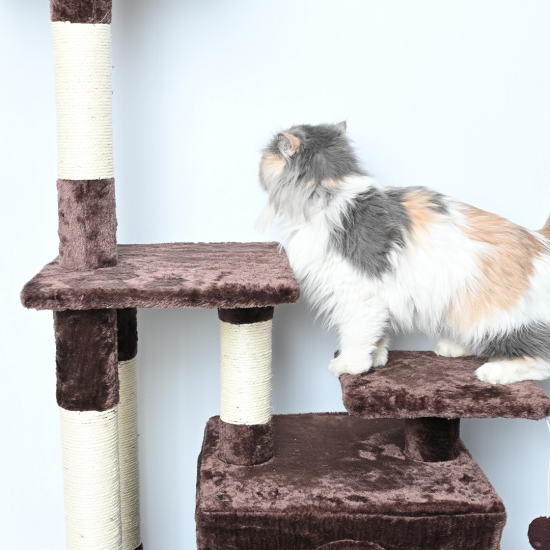 CAT TREE ddinfs شجرة خدش AMR - 619 متعددة الالوان CAT TREE ddinfs شجرة خدش AMR - 619 متعددة الالوان