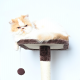 CAT TREE ddinfs شجرة خدش AMR - 619 متعددة الالوان CAT TREE ddinfs شجرة خدش AMR - 619 متعددة الالوان