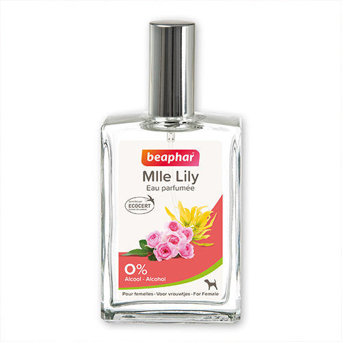 عطر فرنسي MLLE LILY من بيفار للحيوانات الاليفة عطر فرنسي MLLE LILY من بيفار للحيوانات الاليفة