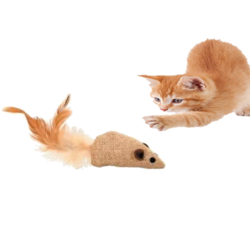 لعبة الفار Mouse Canvas من زولوكس