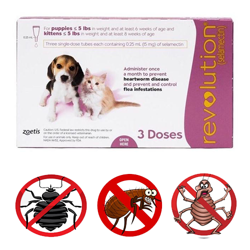 امبولات Revolution ريفليوشن للقطط الصغيرة للقضاء على قمل القطط