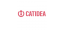 CATIDEA