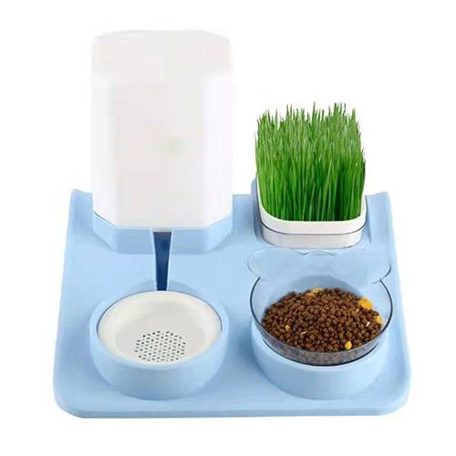 صحن طعام مميز cat bowl بقاعدة انيقة صحن طعام مميز cat bowl بقاعدة انيقة