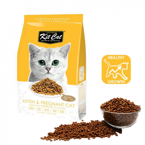 دراي فود كت كات Kit Cat Kitten & Pregnant للقطط البالغة و الحوامل و النمو الصحي دراي فود كت كات Kit Cat Kitten & Pregnant للقطط البالغة و الحوامل و النمو الصحي