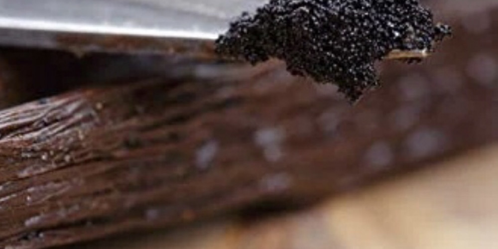 الفانيلا غذاء وعطر و دواء الفانيلا غذاء وعطر و دواء