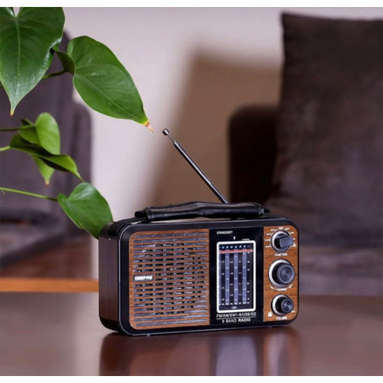  راديو ومكبر صوت -بلوتوث - USB - AUX- ذاكرة -GEEPAS 