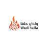 وادي حلفا