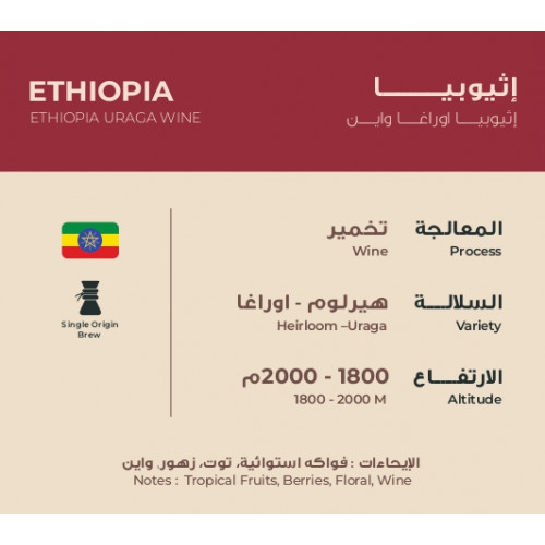 حبوب قهوة إثيوبيا اوراغا واين 250 ج حبوب قهوة إثيوبيا اوراغا واين 250 ج