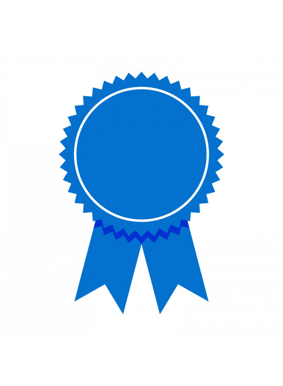 شهادة دولية لدورة النيبوش الصحة والسلامة