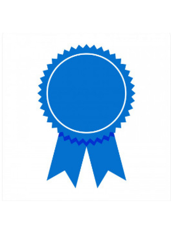 Lean six sigma black belt Master Certification