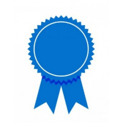 AMERICAN INSTITUTE OF PROFESSIONAL STUPIES  AMERICAN INSTITUTE OF PROFESSIONAL STUPIES