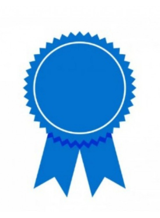  AMERICAN INSTITUTE OF PROFESSIONAL STUPIES