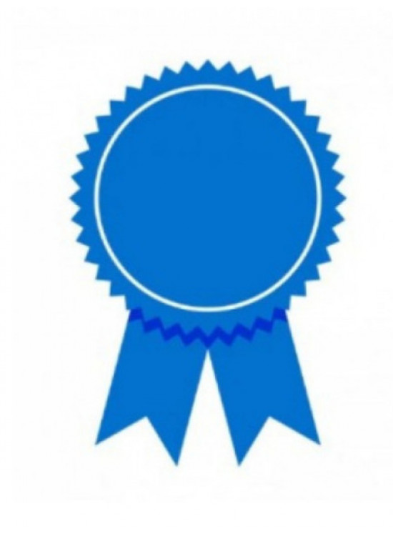 Six Sigma Yellow Belt Certification