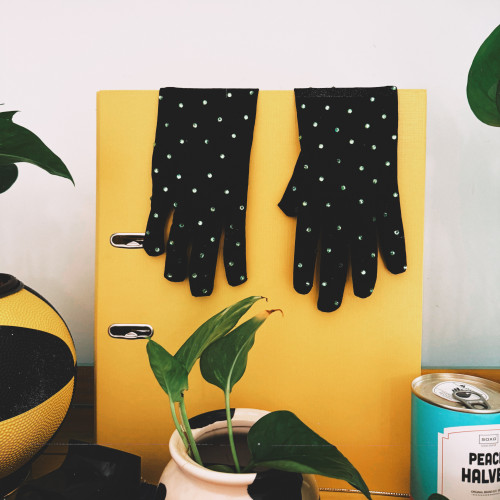 How Many Fingers Am I Holding Gloves How Many Fingers Am I Holding Gloves