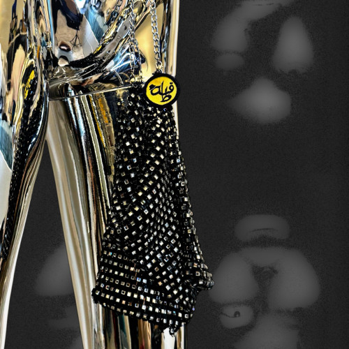 Shiny As You Bag Shiny As You Bag