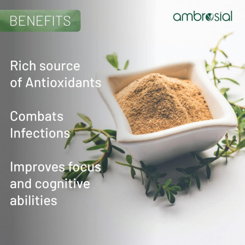 Ambrosial Berberine HCL 500 mg - 60 Capsules Ambrosial Berberine HCL 500 mg - 60 Capsules