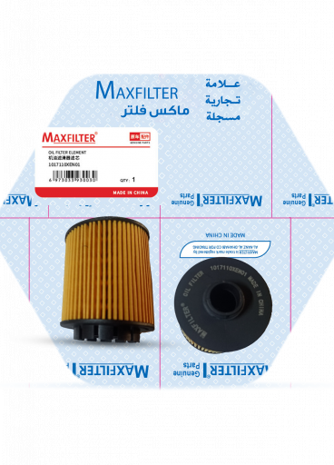 فلتر زيت 1017110XEN01