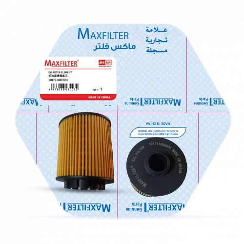 فلتر زيت 1017110XEN01 فلتر زيت 1017110XEN01