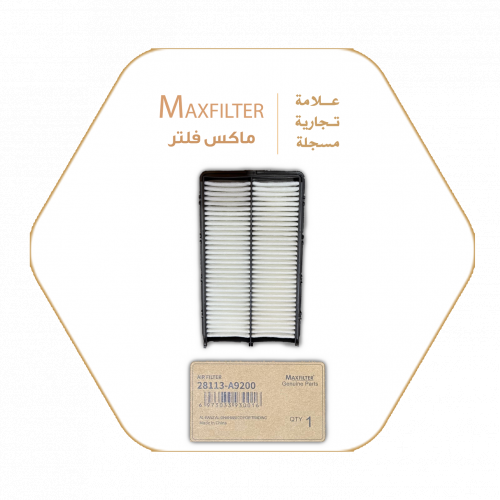 فلتر الهواء  28113-A9200 فلتر الهواء  28113-A9200