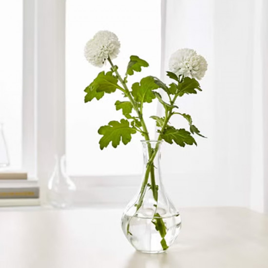 مزهرية زجاجية شفاف 14 سم