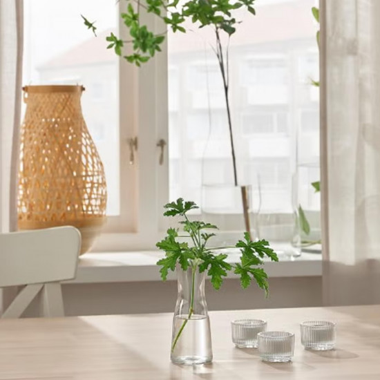 فازة زجاج شفاف 20 سم