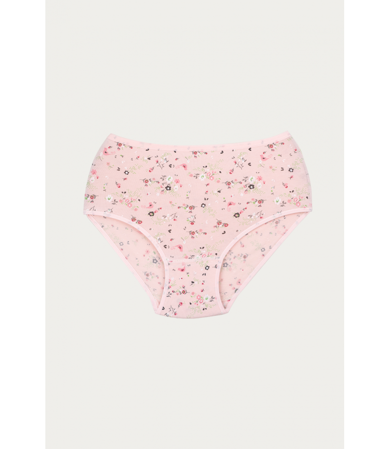 شد 6 حبة كيلوت نسائي مزهر قطن 100% صناعة تركية ماركة جيلان كود 144