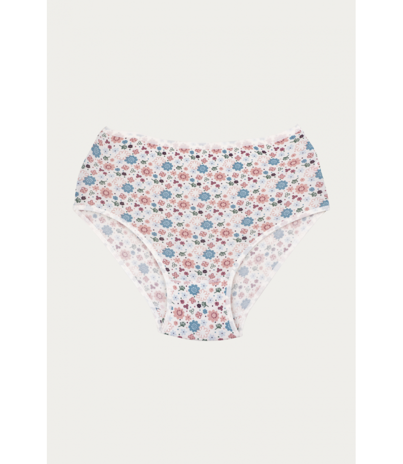 شد 6 حبة كيلوت نسائي مزهر قطن 100% صناعة تركية ماركة جيلان كود 144