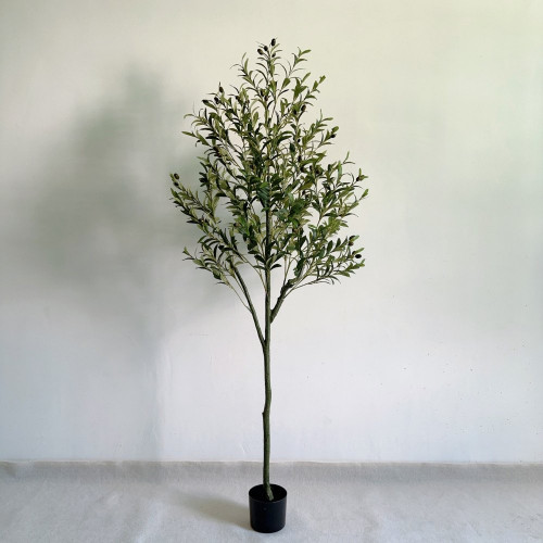 شجرة الزيتون 180 سم