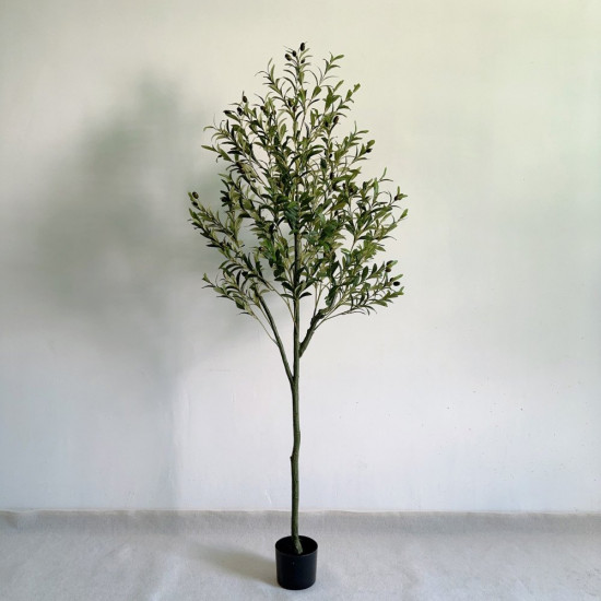 شجرة الزيتون 180 سم شجرة الزيتون 180 سم