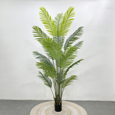 شجرة النخلة