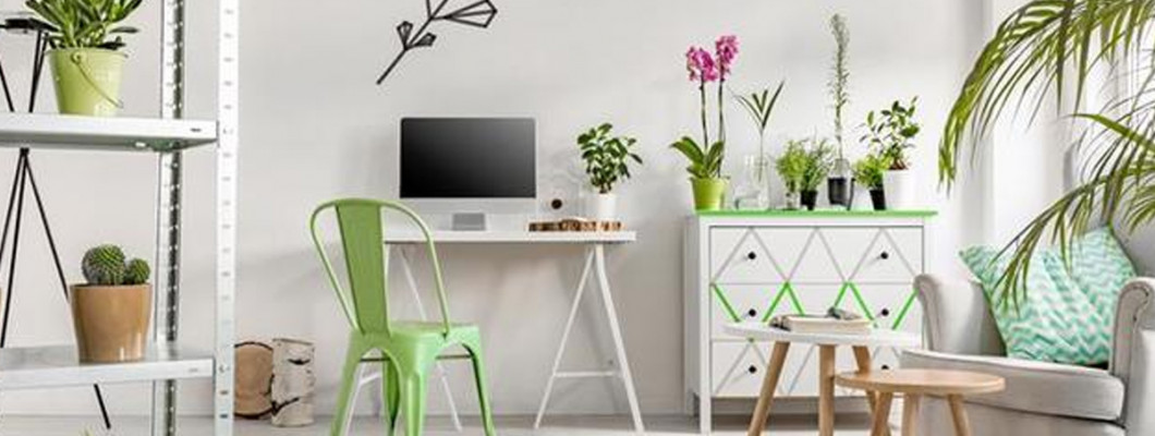 أفضل 5 أشجار صناعية لتزيين المكاتب والشركات – لمسة أنيقة بلا مجهود