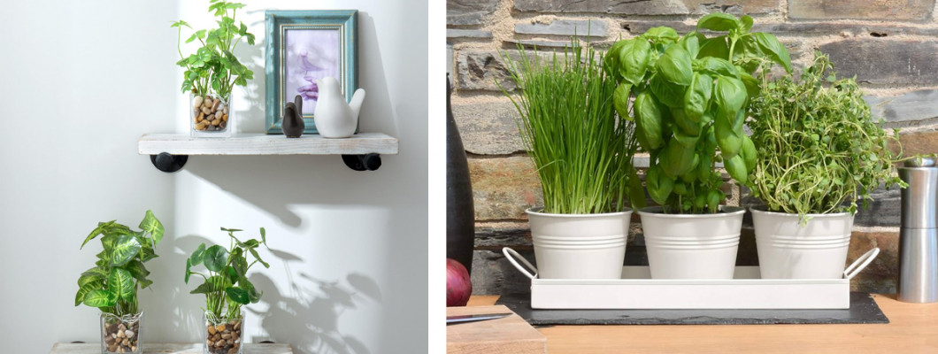 أفضل النباتات الصناعية لتزيين الطاولات والرفوف – لمسة بسيطة تغيّر الجو