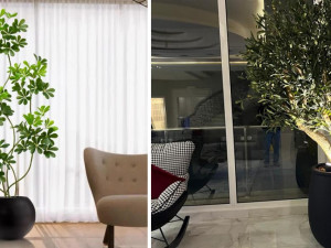 متى تكون الأشجار الصناعية أفضل من الطبيعية؟