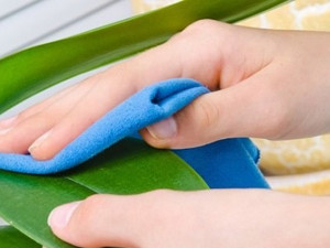 طريقة تنظيف الأشجار والنباتات الصناعية في المنزل: دليلك الكامل للعناية بدون تعب