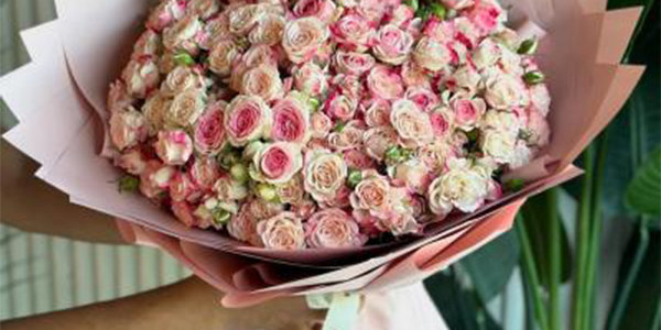 الأكثر مبيعاً