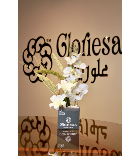 gloriesa box