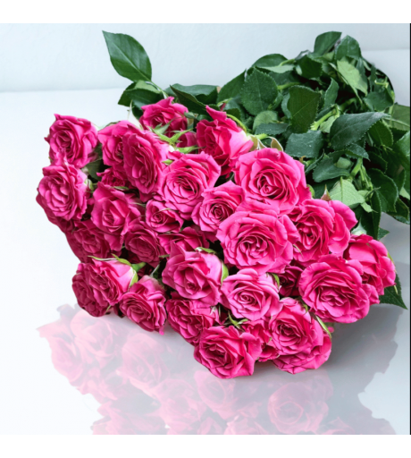 بيبي جوري وردي 