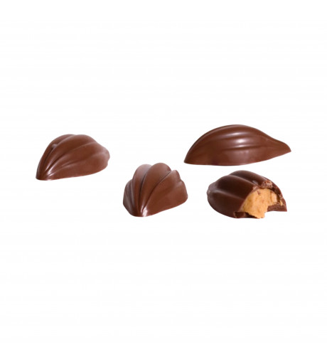 شوكولاته لوتس كرسبي شوكولاته لوتس كرسبي