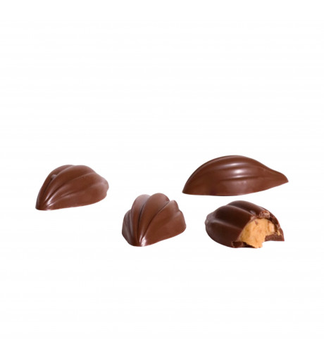 شوكولاته لوتس كرسبي شوكولاته لوتس كرسبي