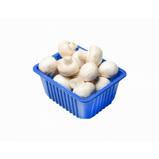 مشروم ابيض (علبة)